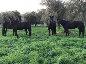 Masseria Boccadoro